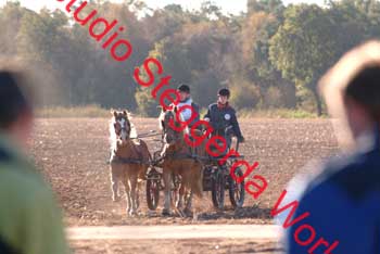 DSCF0496