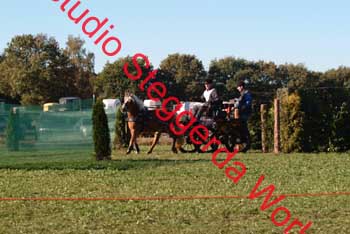 DSCF0498
