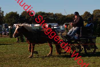 DSCF0516