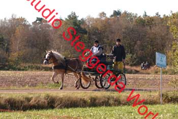 DSCF0517