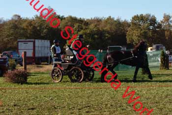DSCF0528