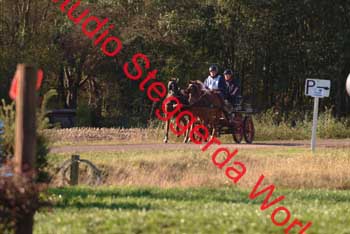 DSCF0537