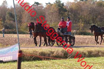 DSCF0539