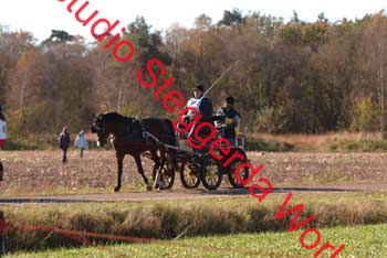 DSCF0540