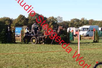 DSCF0541