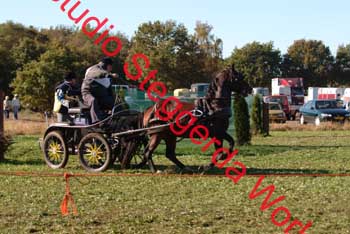 DSCF0542_1