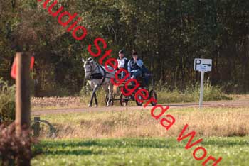 DSCF0544
