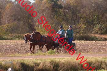 DSCF0545_1