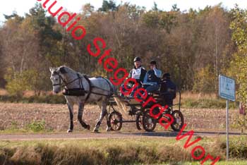 DSCF0546