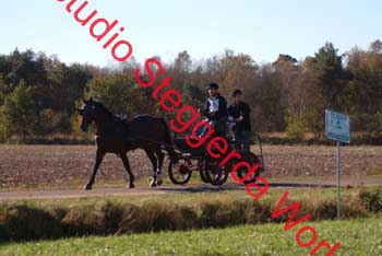 DSCF0548_1