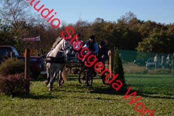 DSCF0550_1