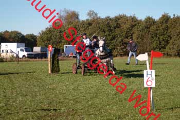 DSCF0551