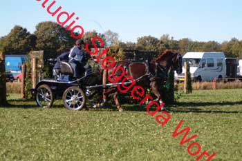 DSCF0553_1