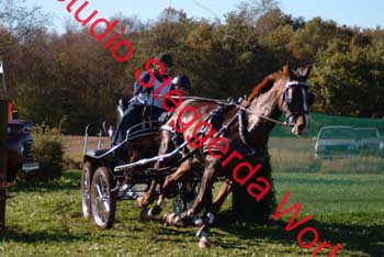 DSCF0554