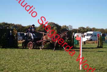 DSCF0557