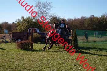 DSCF0558