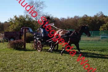 DSCF0559