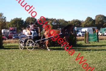 DSCF0562