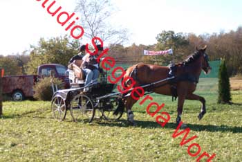 DSCF0563