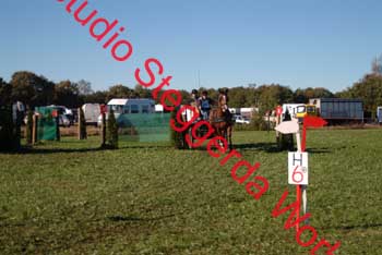 DSCF0564