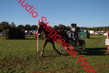 DSCF0565