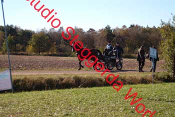 DSCF0566