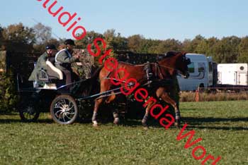 DSCF0567