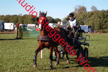 DSCF0569