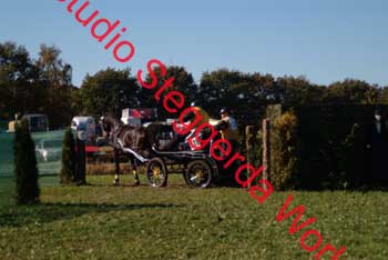 DSCF0570