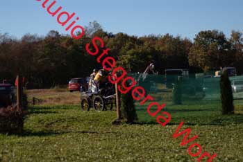 DSCF0571