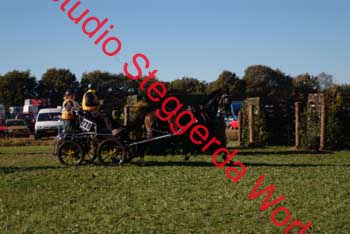 DSCF0572