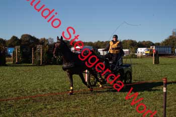 DSCF0574