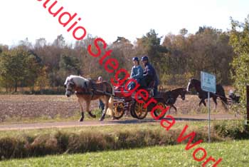 DSCF0575