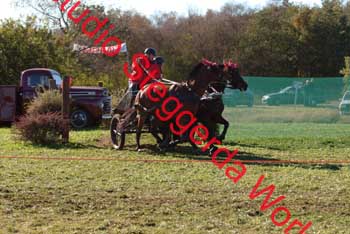 DSCF0577