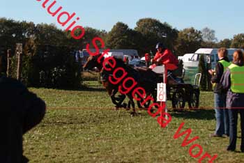 DSCF0578
