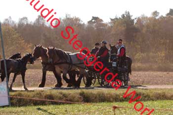 DSCF0583