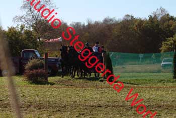 DSCF0584