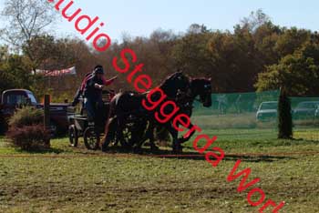 DSCF0585
