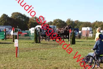 DSCF0586
