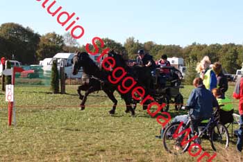 DSCF0587