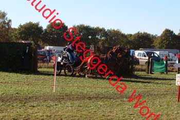 DSCF0590