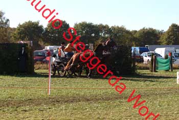 DSCF0595