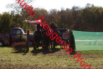 DSCF0601