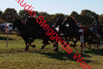 DSCF0605