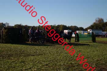 DSCF0606