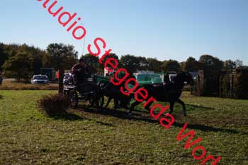DSCF0608
