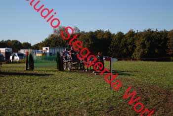 DSCF0609