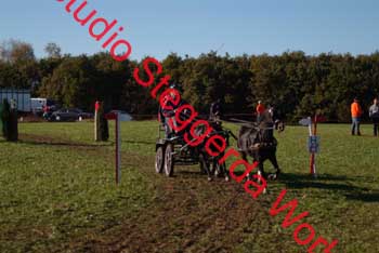DSCF0610