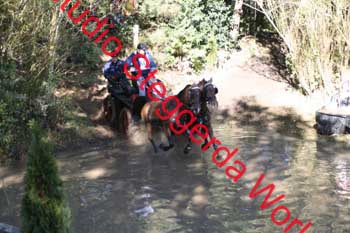 _MG_5629