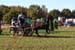 DSCF0542